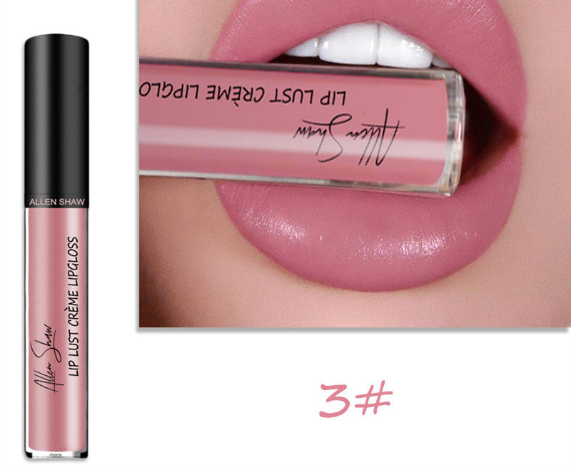 Silky Cream Lip Gloss / Lipstick