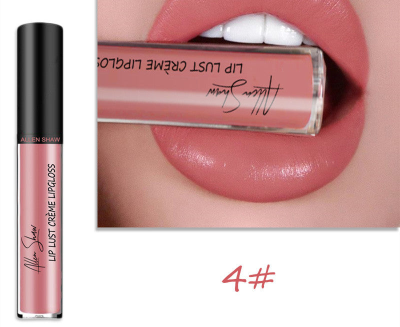 Silky Cream Lip Gloss / Lipstick