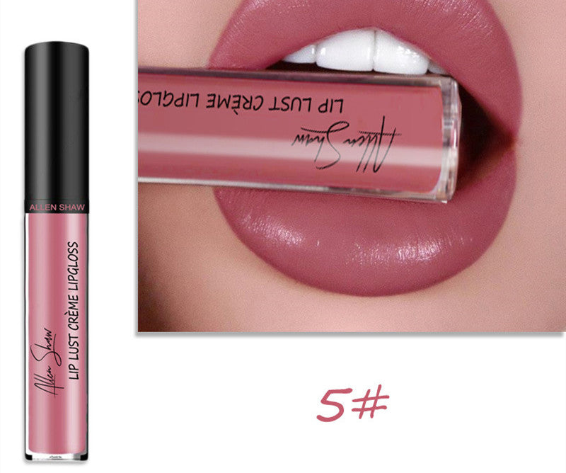 Silky Cream Lip Gloss / Lipstick