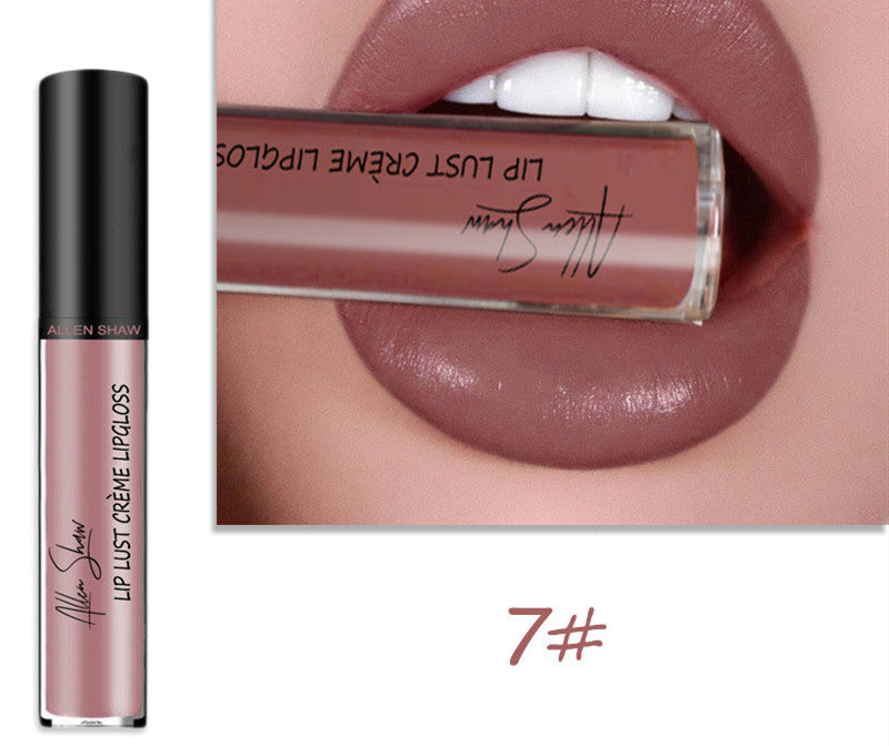 Silky Cream Lip Gloss / Lipstick