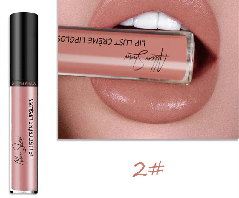 Silky Cream Lip Gloss / Lipstick